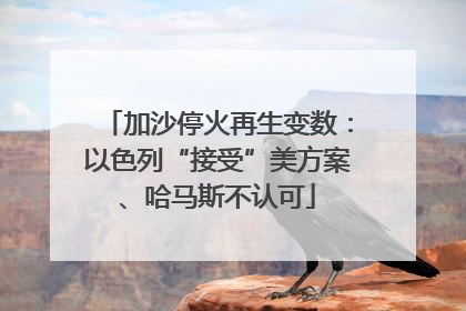 加沙停火再生变数：以色列“接受”美方案、哈马斯不认可